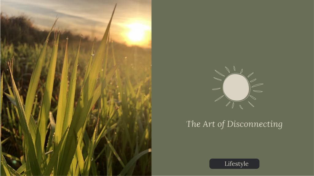 Content image for The Challenge of Disconnecting: Finding Peace During Visa Stress and Hotels